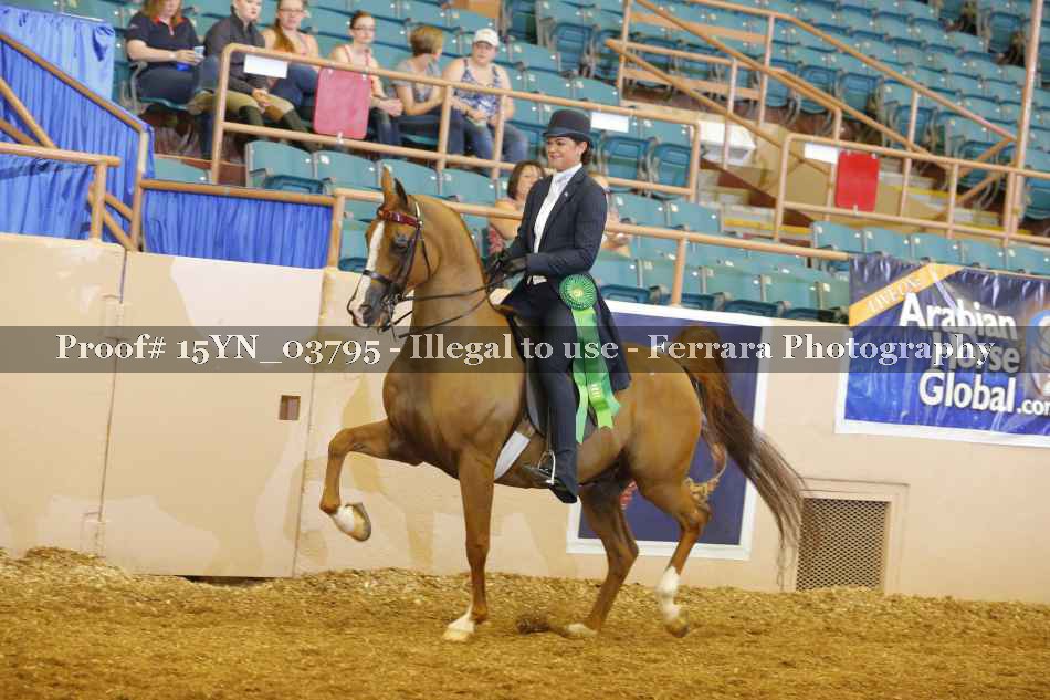Proof 15YN_03795