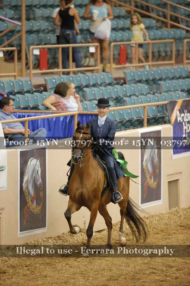 Proof 15YN_03797