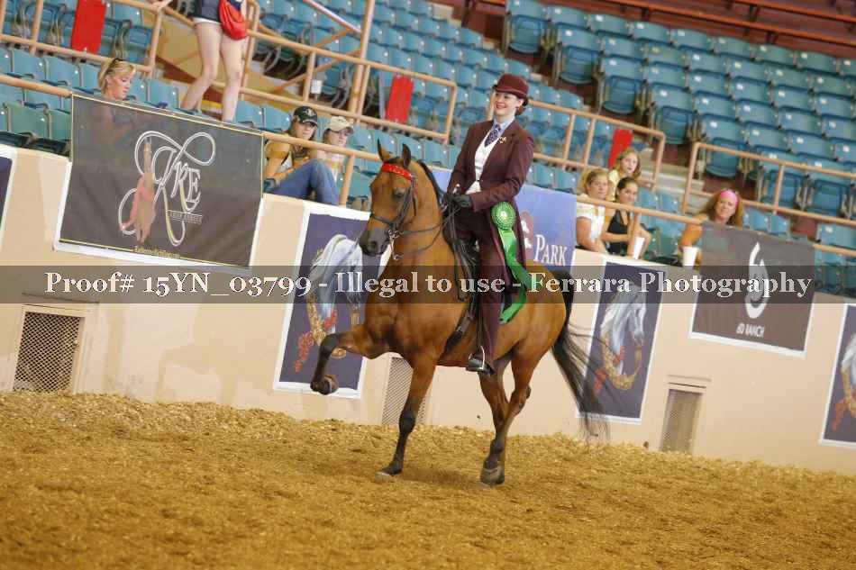 Proof 15YN_03799