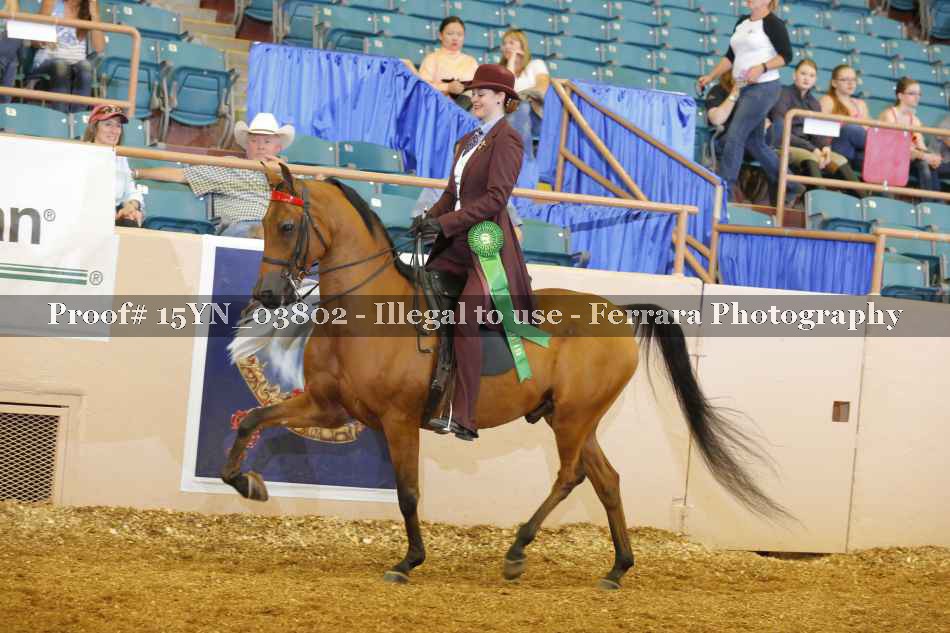 Proof 15YN_03802