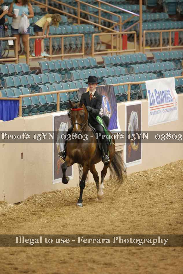 Proof 15YN_03803