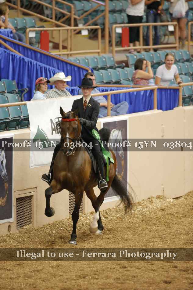 Proof 15YN_03804