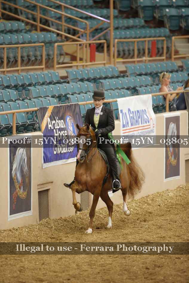 Proof 15YN_03805