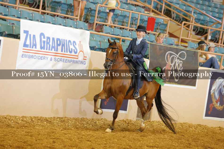 Proof 15YN_03806