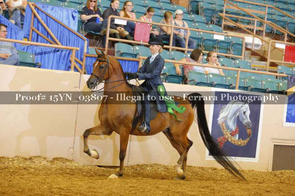 Proof 15YN_03807