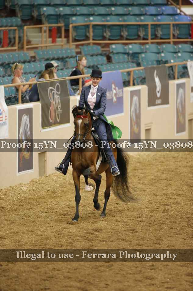 Proof 15YN_03808