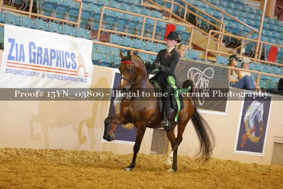 Proof 15YN_03809