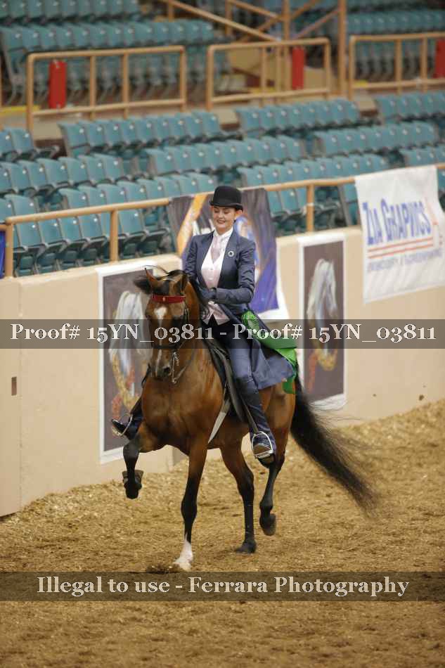 Proof 15YN_03811