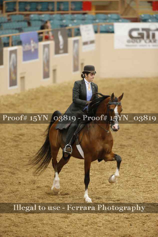 Proof 15YN_03819