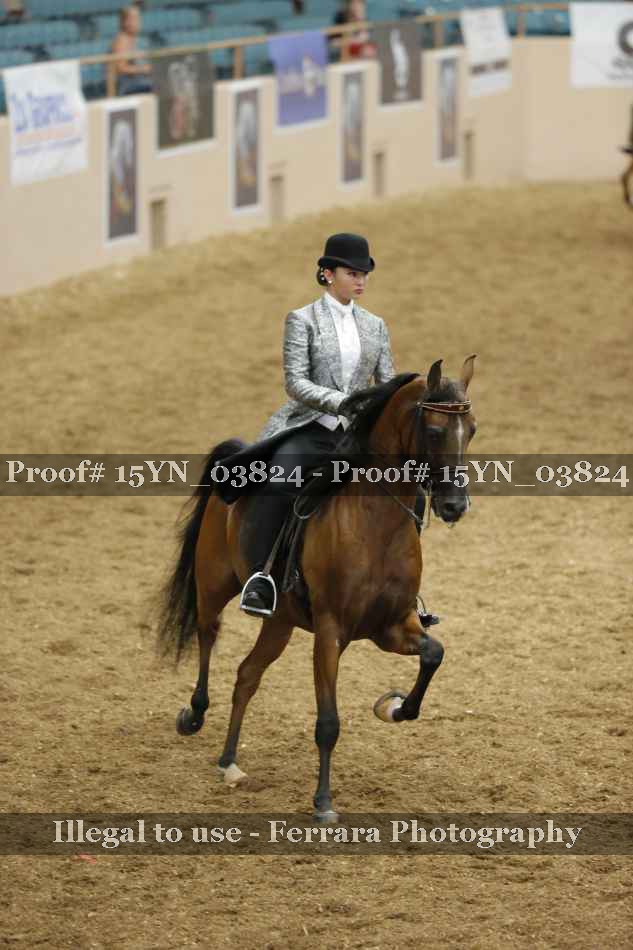 Proof 15YN_03824