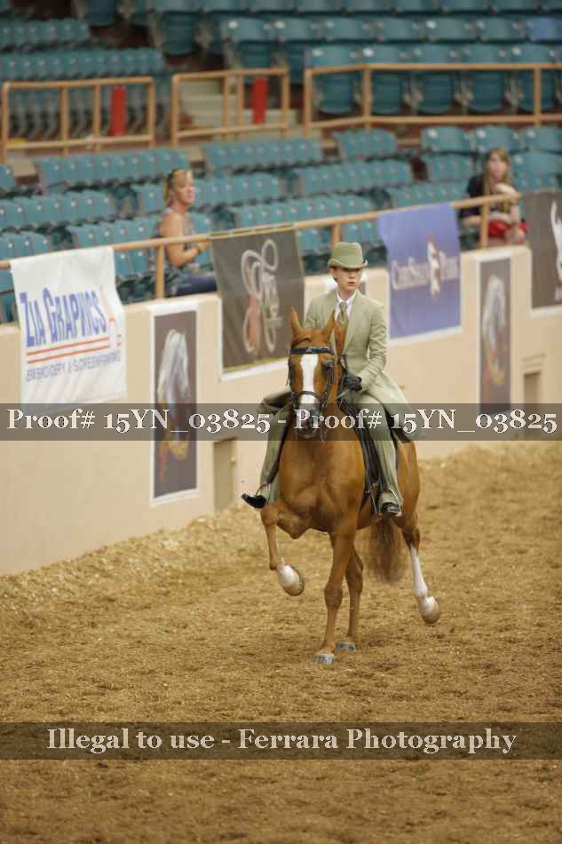Proof 15YN_03825