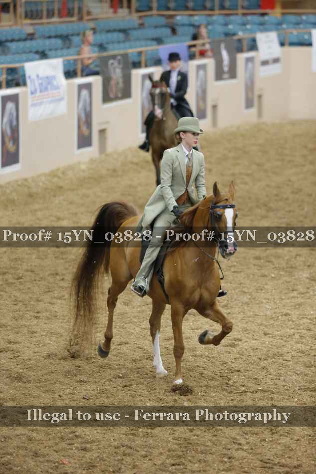 Proof 15YN_03828