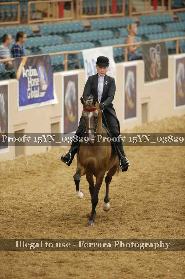 Proof 15YN_03829