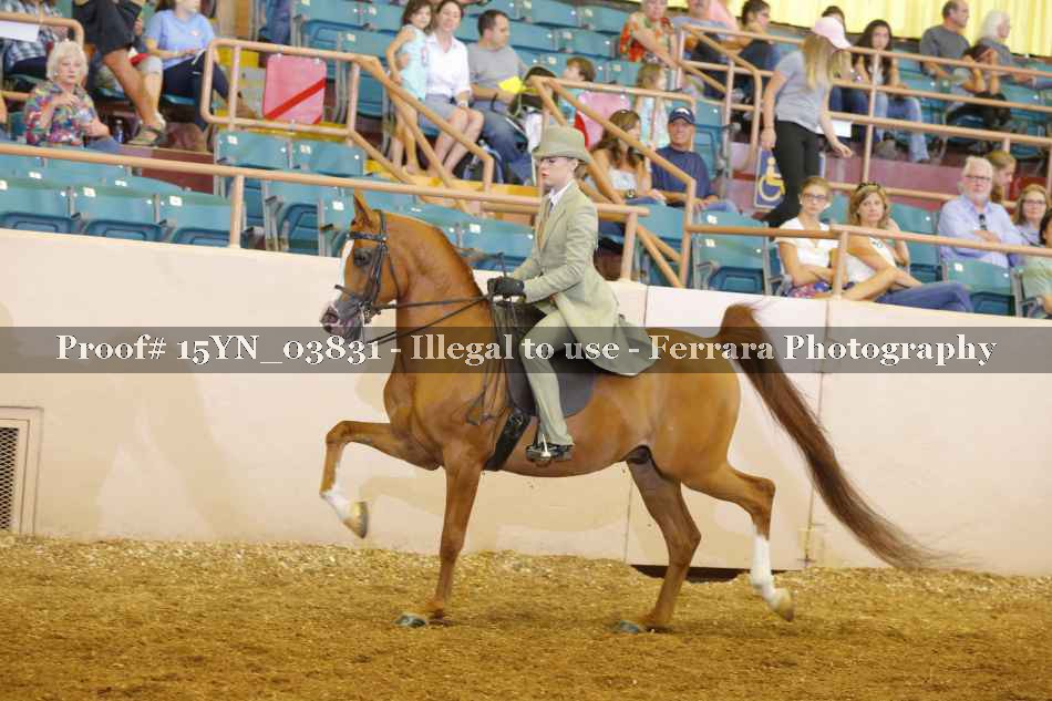 Proof 15YN_03831