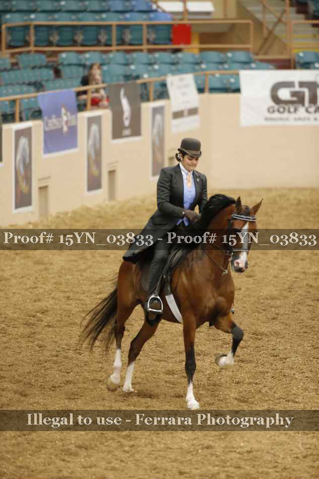Proof 15YN_03833