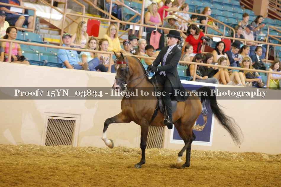 Proof 15YN_03834