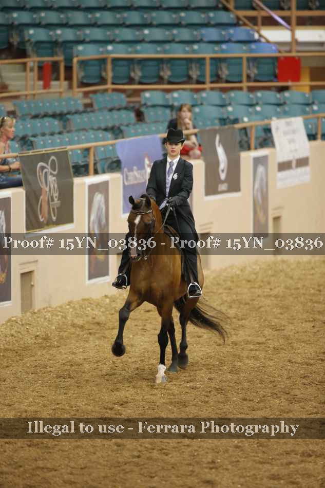 Proof 15YN_03836