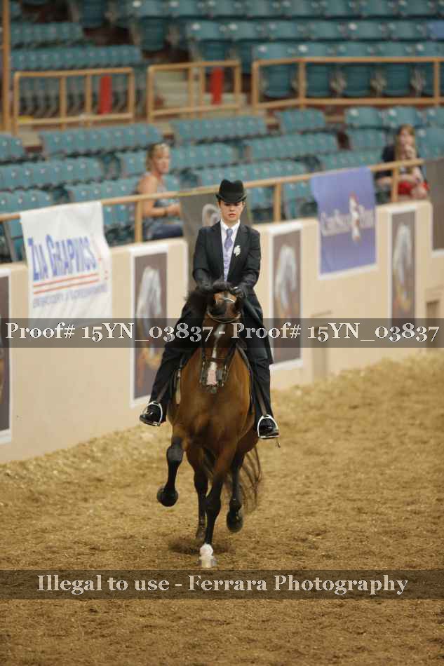 Proof 15YN_03837