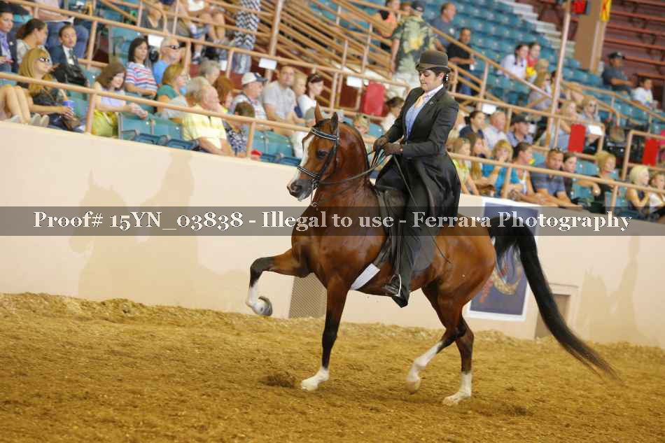 Proof 15YN_03838
