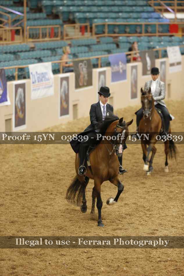 Proof 15YN_03839