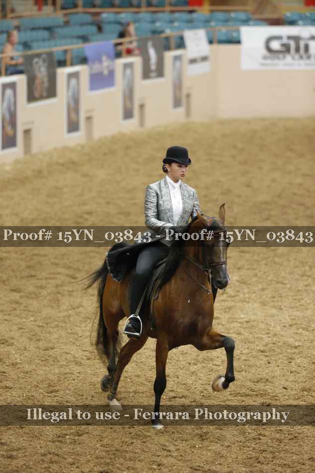Proof 15YN_03843