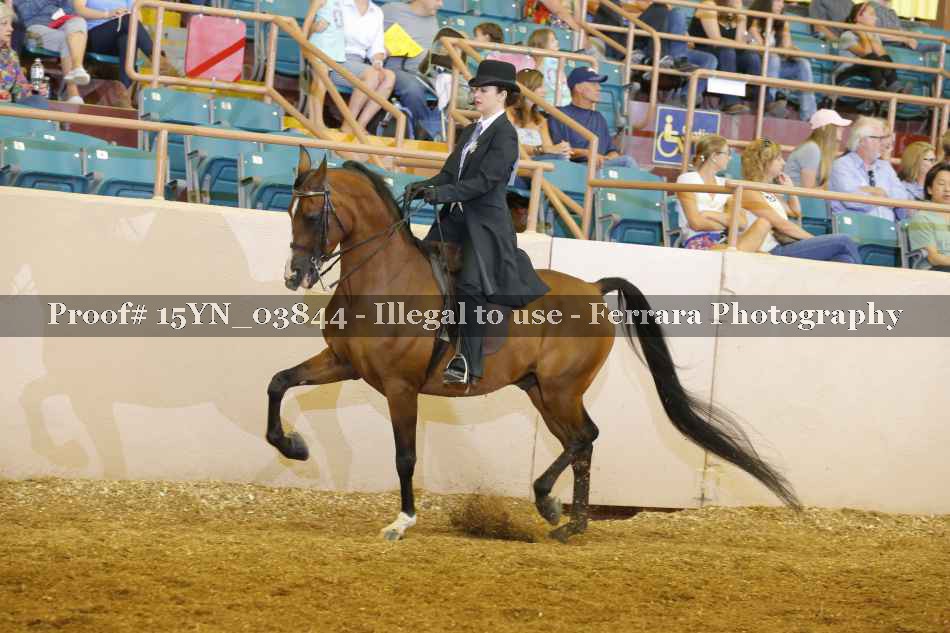 Proof 15YN_03844