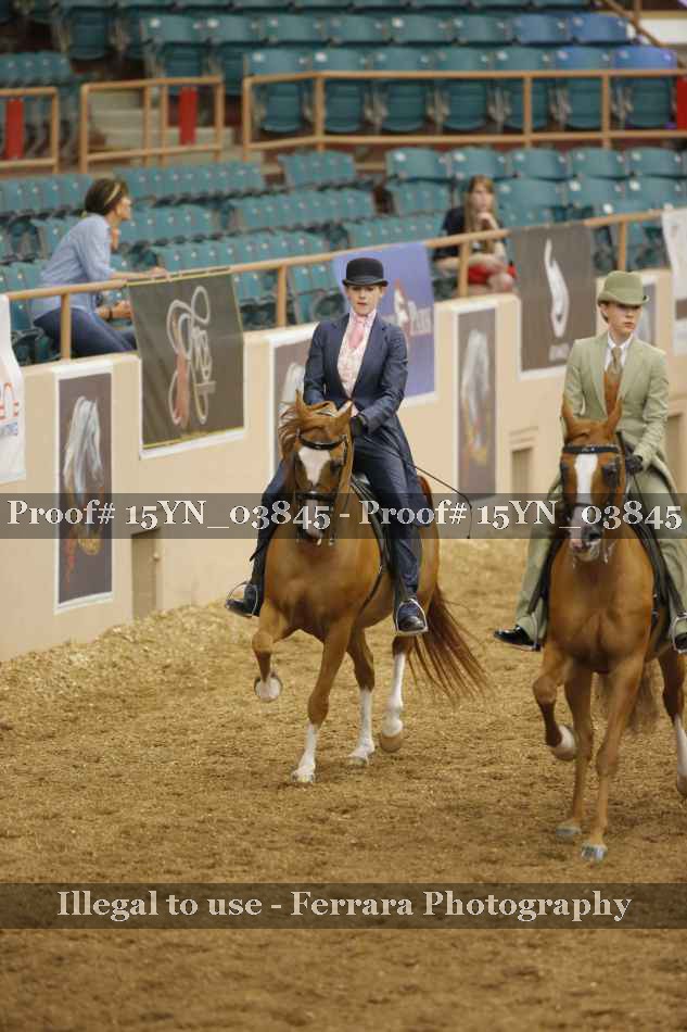 Proof 15YN_03845