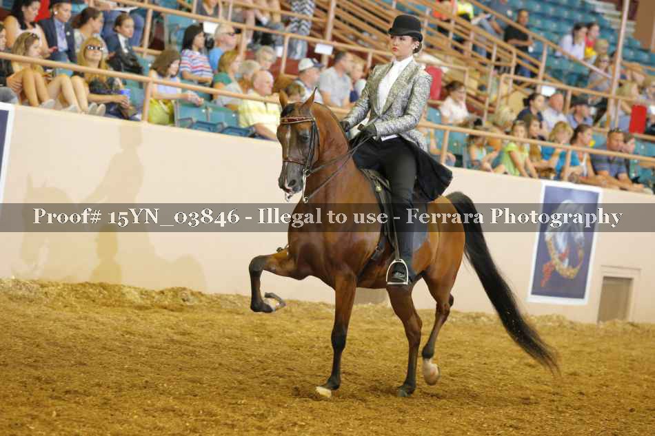 Proof 15YN_03846