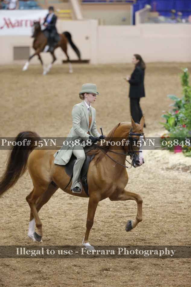 Proof 15YN_03848