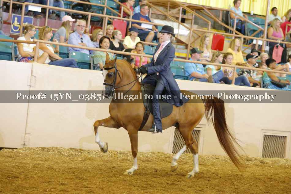 Proof 15YN_03851