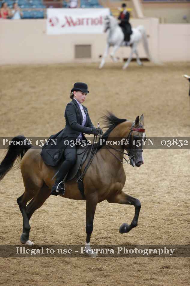 Proof 15YN_03852
