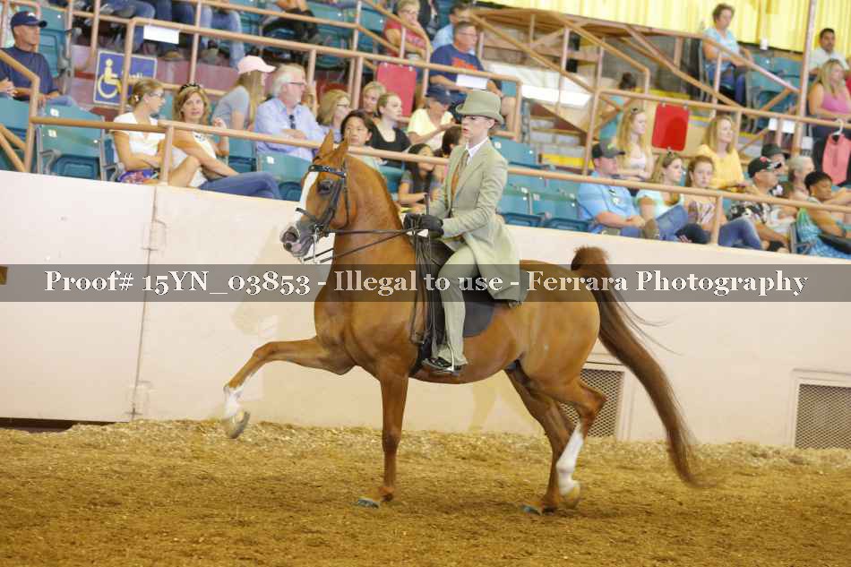 Proof 15YN_03853