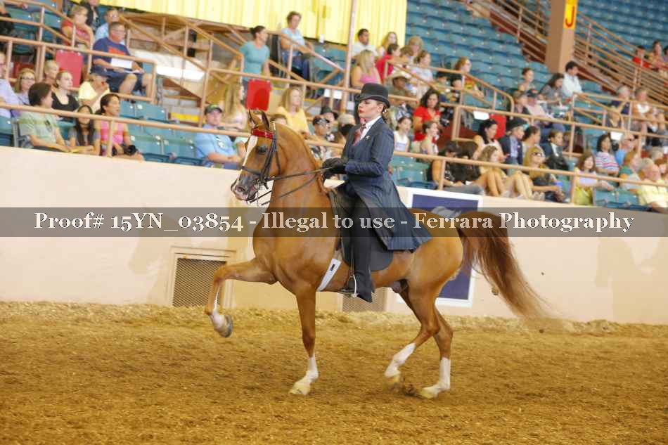 Proof 15YN_03854