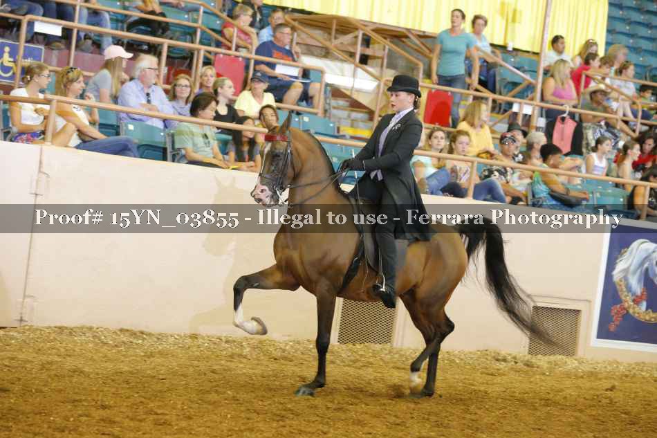 Proof 15YN_03855