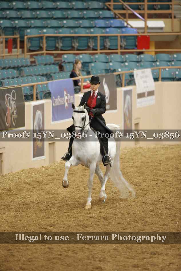 Proof 15YN_03856
