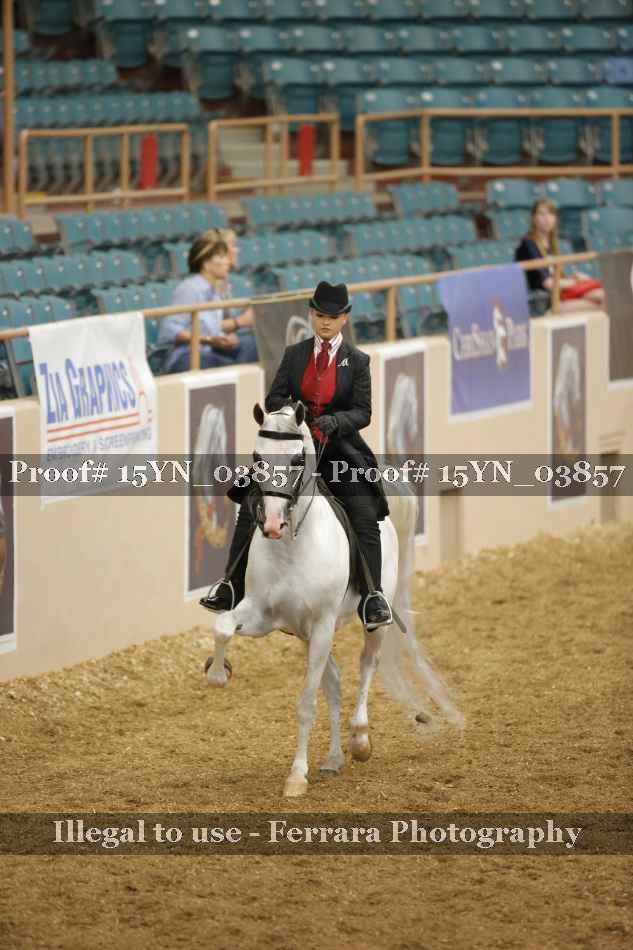 Proof 15YN_03857