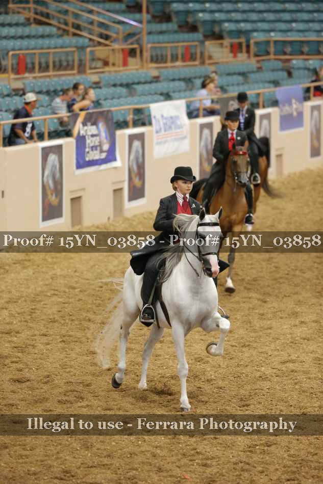Proof 15YN_03858