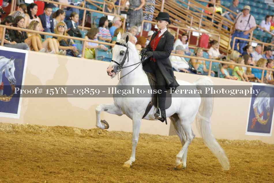Proof 15YN_03859