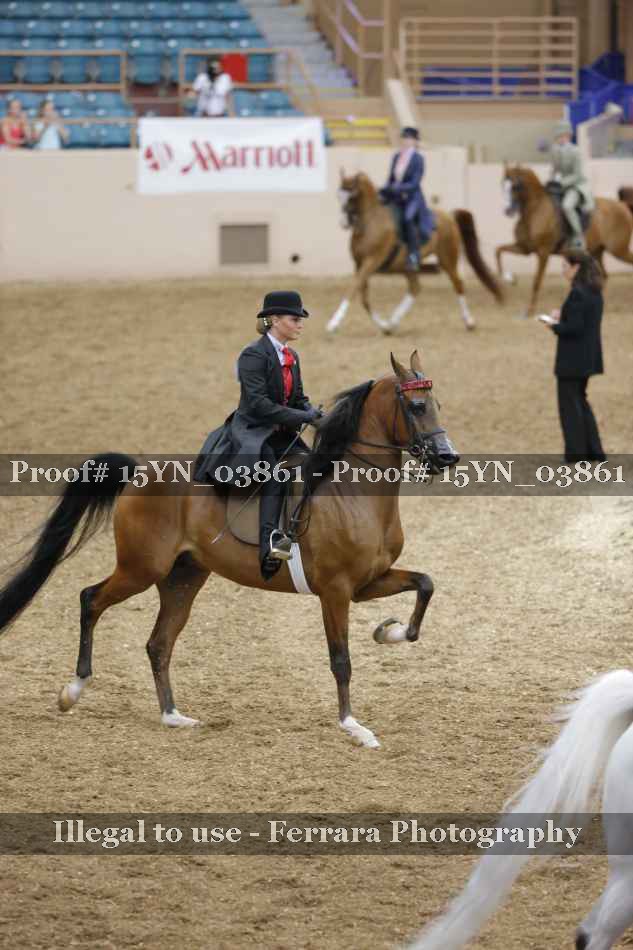 Proof 15YN_03861