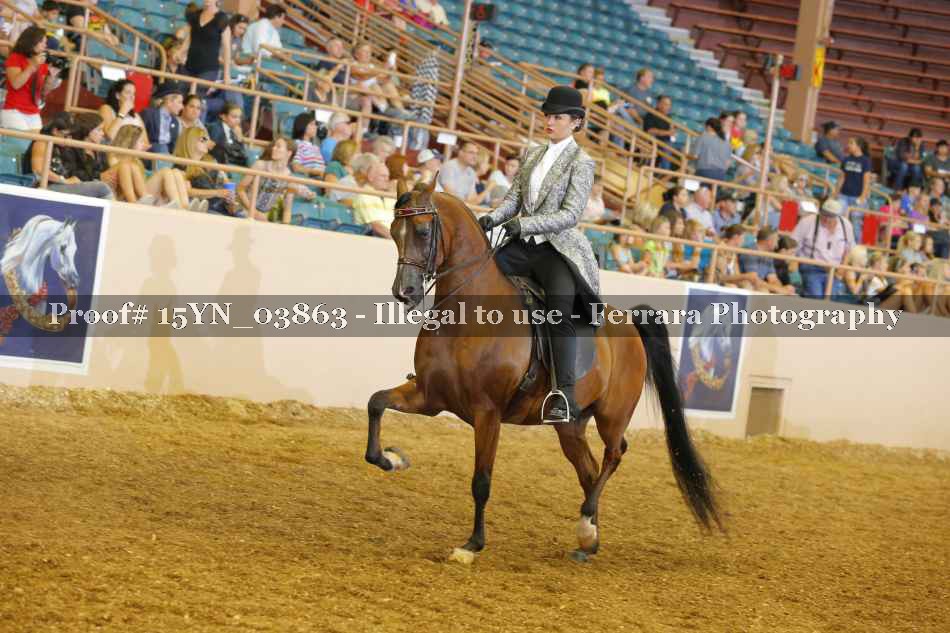 Proof 15YN_03863