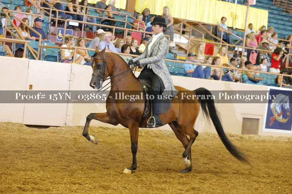 Proof 15YN_03865