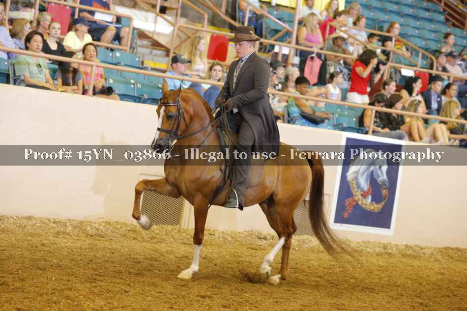 Proof 15YN_03866