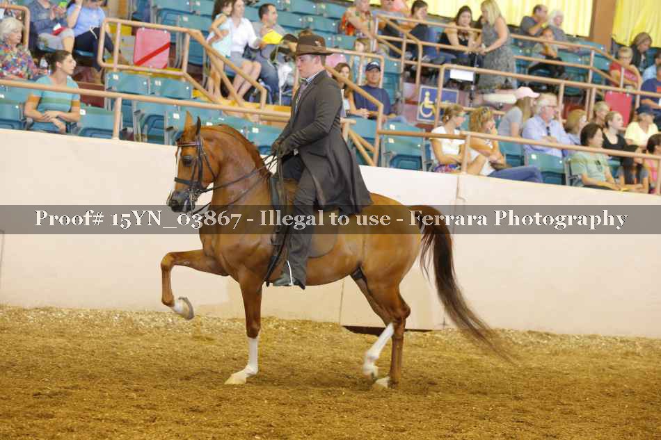 Proof 15YN_03867