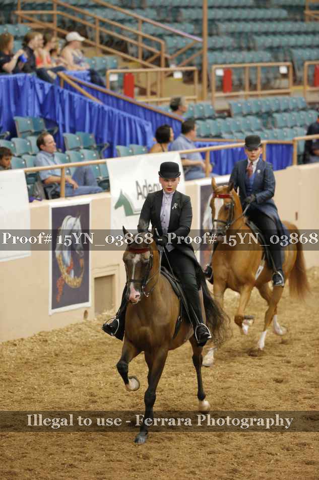 Proof 15YN_03868