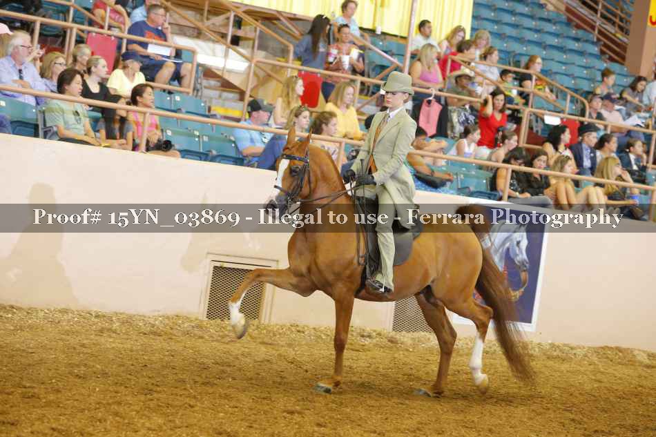 Proof 15YN_03869
