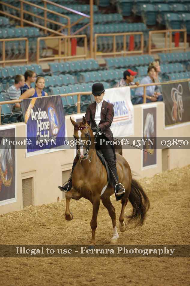 Proof 15YN_03870