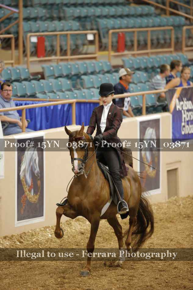 Proof 15YN_03871
