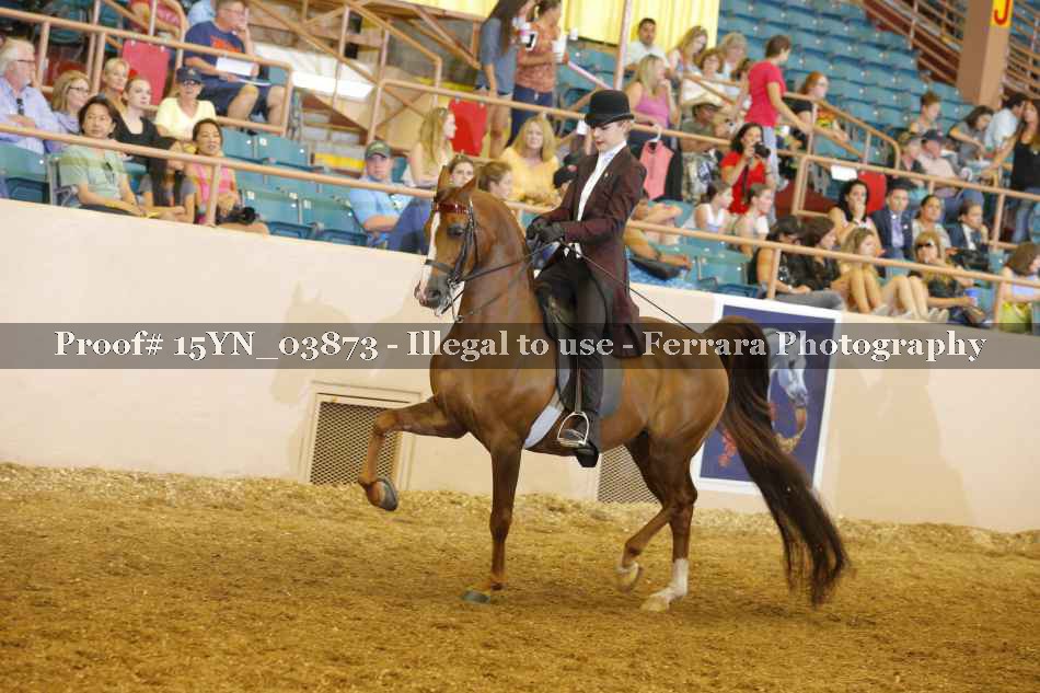 Proof 15YN_03873