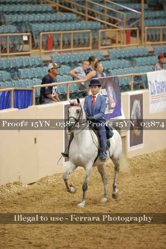 Proof 15YN_03874