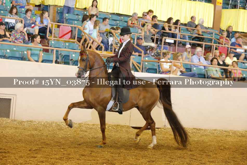 Proof 15YN_03875